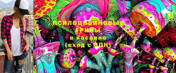 амф Арсеньев