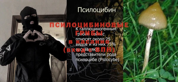 MDMA Premium VHQ Аркадак