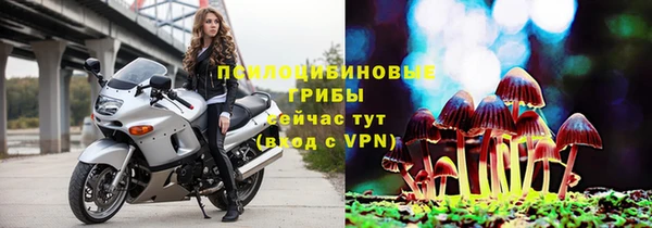 ГАЛЛЮЦИНОГЕННЫЕ ГРИБЫ Армянск