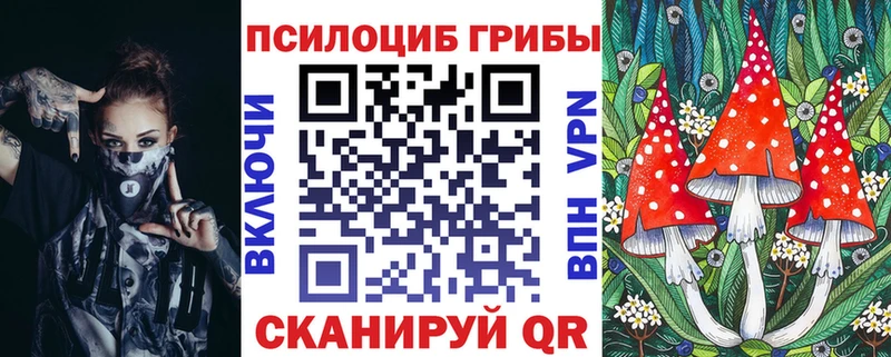 купить закладку Гаврилов-Ям Псилоцибиновые грибы Psilocybe